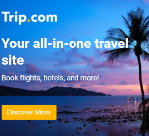 300 x 250 - Banner Book flights, hotels and more