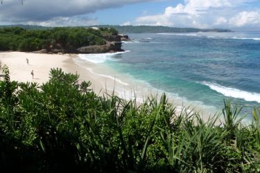 Bali31