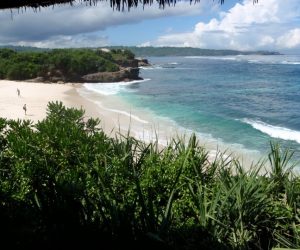 Bali31