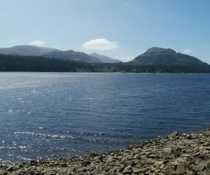 Cairngorms National Park (3)