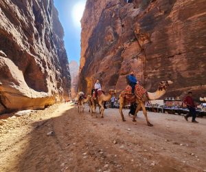 Camel Ride through Petra