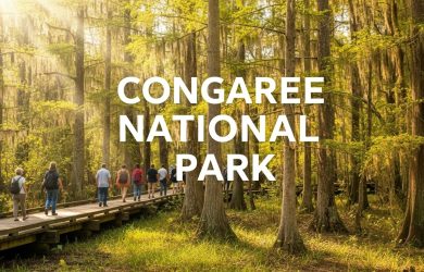 Congaree National Park in South Carolina