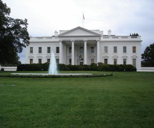 DSC03601
