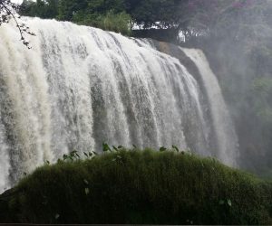 Dalat11 (1)