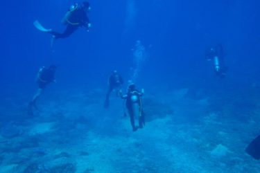 Diving 2