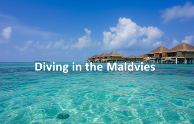 Diving in the Maldives