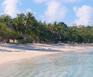 Dravuni Island9