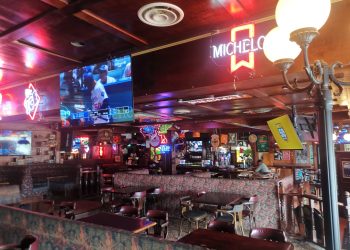 Fox and Hounds4