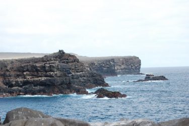 Galapagus
