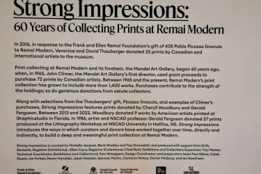 History of Remai Modern Art Gallery