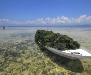 Indonesia26