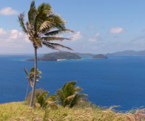 Island Hopping