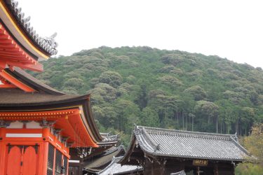 Kiyomizu-dera