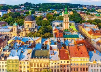 Lviv City View