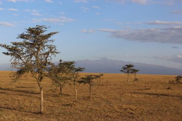 Mt Kenya