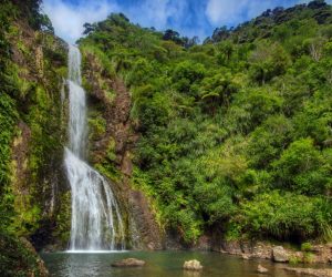 North Island1
