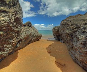 North Island16