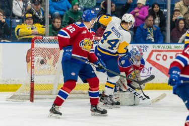 Saskatoon Blades Hockey Club