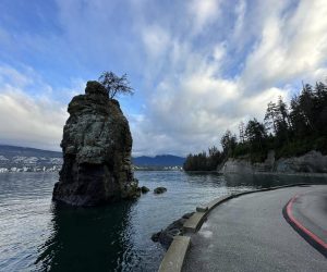 Seawall