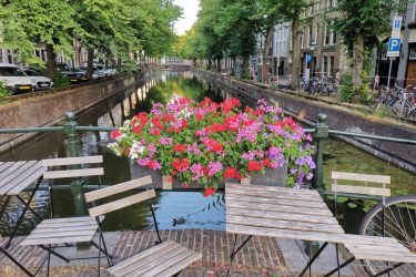 The Hague