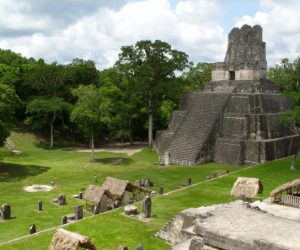 Tikal1