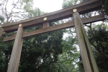 Torii gate at Harajuku