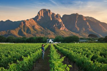 Visit the Cape Winelands (Stellenbosch & Franschhoek), Visit the Cape Winelands (Stellenbosch & Franschhoek),
