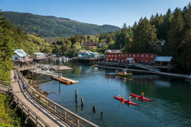 Watching at Telegraph Cove